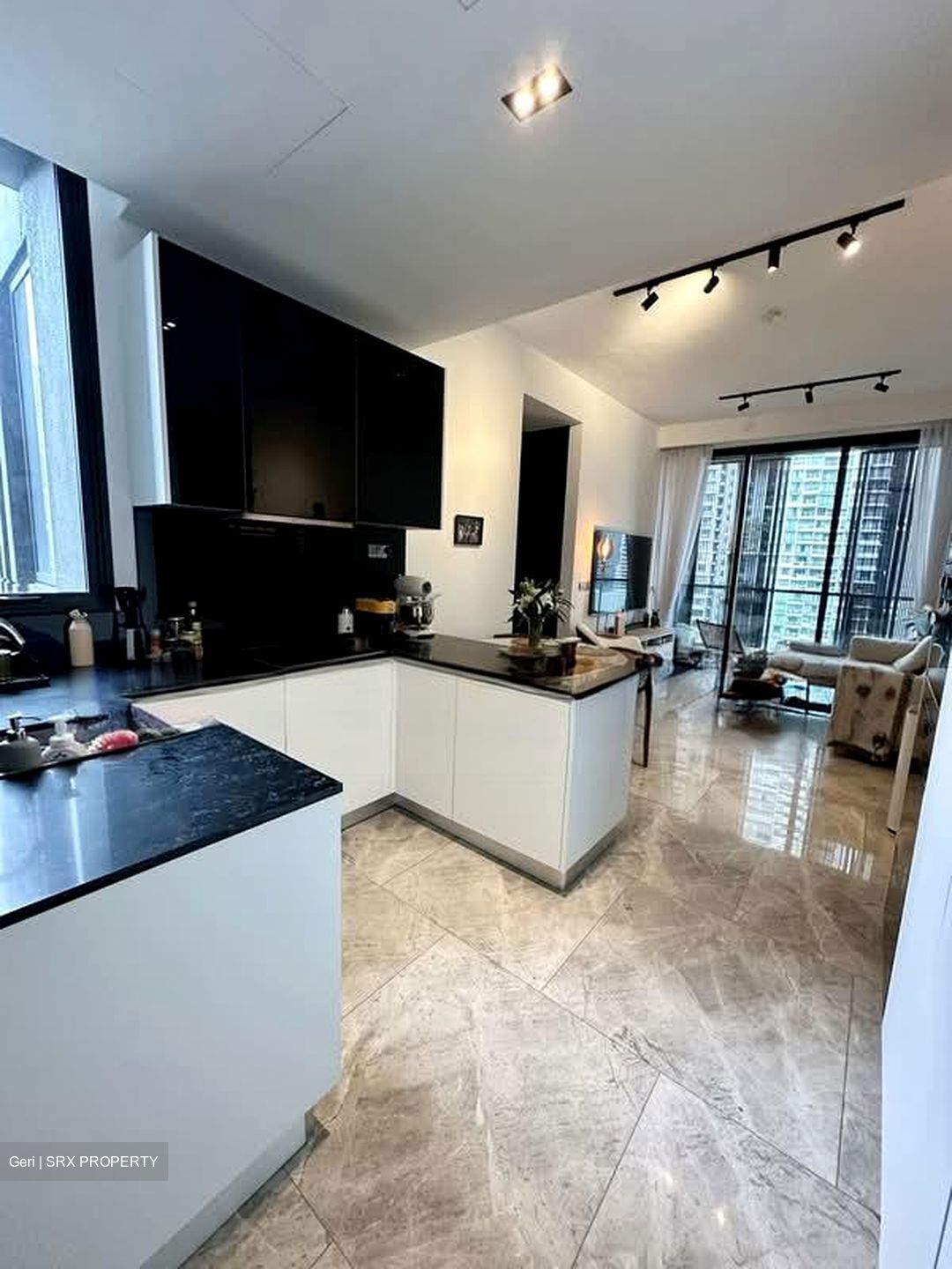 Martin Modern (D9), Condominium #572547861
